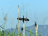 Lac Inle (18)